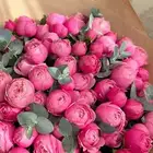 ورد طبيعي بسعر الجمله