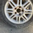 جنوط مكسيما