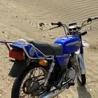 الليث