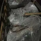 قيرات دينا ايسوزو عادي وتيربو شد بلد