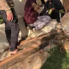 حفر ابار