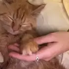 قطه ضايعه بصبابه لابسه سنسال ازرق الي يلقاها يتواصل معي