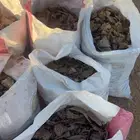 تمر وا خبز