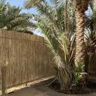 عروض على الخيزران  الموقع بريدة