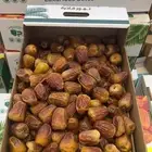 نوادر المفتل والجلكسي
