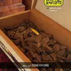 عود مروكي ميني   التوله 400 ريال