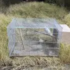 زوج كروان منتج