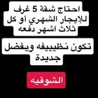 احتاج شقة للإيجار