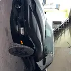 للبيع جنوط ريس ستار اصلية ( شفر)