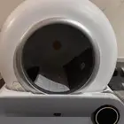 لانش بوكس قطط