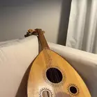 عود مصري اصلي شاريه جديد على السوم التواصل