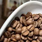 عروض اليوم الوطني على محاصيل القهوه المختصه