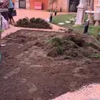نجيله عشب طبيعي