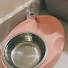 مستلزمات للقطط