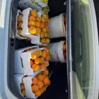 ليمون ويوسفندي من مزرعتنا الخاصة