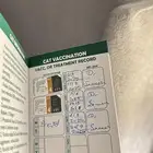 قطه  ذكر   هملايا