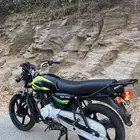 دباب بجاج بوكسر
