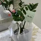 نباتات  هدايا