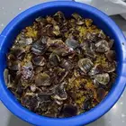 سطل بخور مخلوط جاهز للبيت