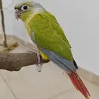 فندقه بي اسعار رمزيه وتدريب