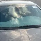 دوج