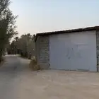 للتمور بريدة