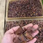 تمر ربيعه