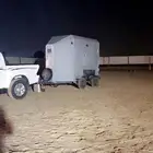 عربه نقل خيل