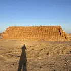 تبن قمح