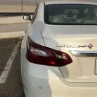 التيما 2018 بودي وكاله مالك اول على الشرط