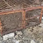 شبك او صندقه دجاج .ارانب .بط.حمام سمان.انته ورغبتك