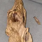 عود طبيعي