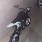 دباب صحراوي صغير