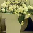 عربية شبكه متكامله