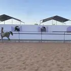 يعلن مربط الصاهل للخيل العربية الأصيلة
