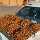 تمر القصيم