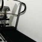 سير كهربائي وغزال طائر