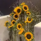 تنسيق جميع الحفلات