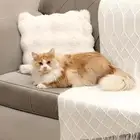 قط للتبني شرط تصويره لي وعدم رميه او اهماله من ذمتي لذمتك