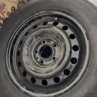 جنوط التيما سوح