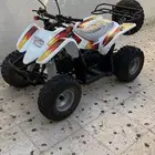 دباب
