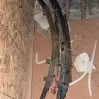 سست شاص 8 ريش شرط