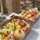 رمان جوف ال معمر حبه كبير على الشرط