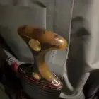 جنبيه صنعاني صنف نادر