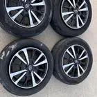 جنوط يارس 2021 حقت الوكالة