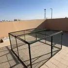 عشه شبك