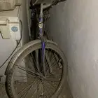 فريزر و طاوله وسيكل وشاشة