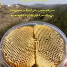 عسل سدر مشروط بالذمه والامانه وطلح وسمره من مناحلي