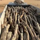 حوطة بني تميم