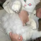 شيرزايه عمرها سنه ونص